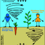 Alimentazione... yin e yang... punti di vista!