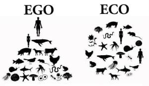 Ecocidio