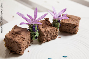 Mousse al cioccolato vegan